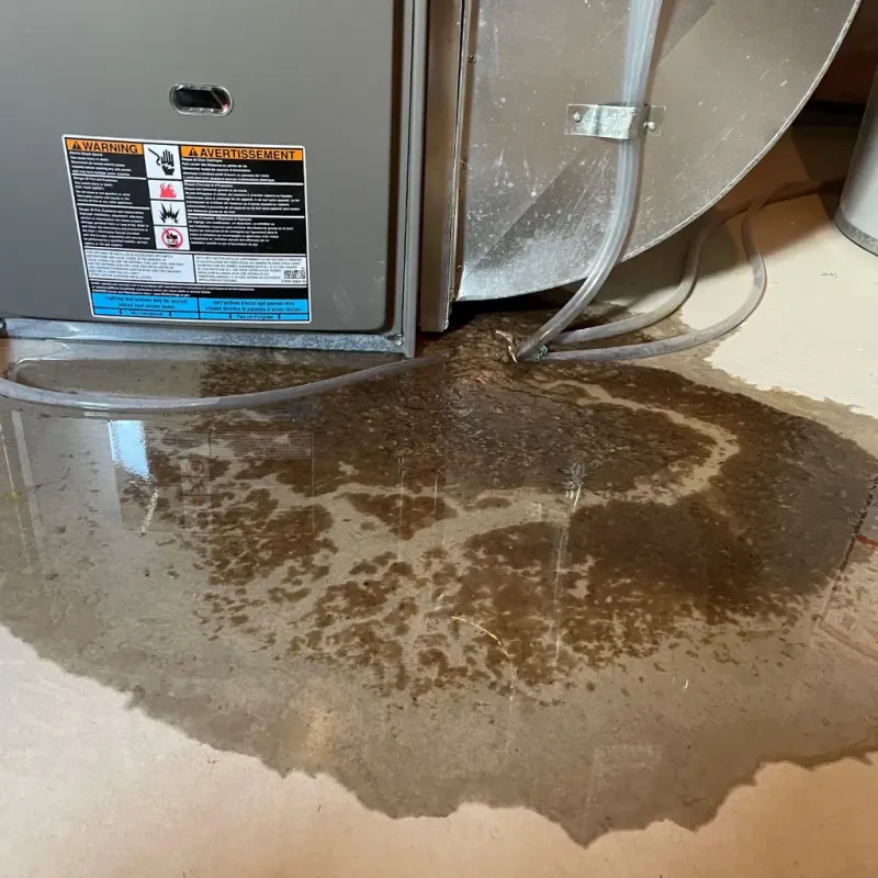 Appliance Leak Cleanup in Bryn Athyn, PA